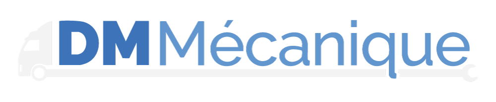 DM Mecanique logo clair